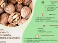 Gros plan sur des noix, mettant en avant leurs nombreux bienfaits : antioxydantes, cardioprotectrices, énergétiques et digestives. Elles améliorent la santé cérébrale et le transit intestinal.