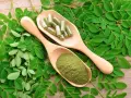 Feuilles de moringa, poudre et gélules sur cuillères en bois. Attention au danger du moringa, une consommation excessive peut être nocive.
