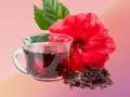 Infusion rouge vif d'hibiscus, fleur éclatante et feuilles vertes. Découvrez les hibiscus bienfaits femme pour une vitalité naturelle.