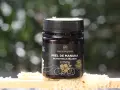 Bocal de miel de Manuka Watson & Son, certifié 400 mg/kg de méthylglyoxal. Ce miel de Nouvelle-Zélande est réputé pour ses 18 bienfaits.