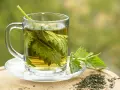 Une tasse de tisane d'ortie, avec des feuilles fraîches et séchées. Peut-on boire de la tisane d'ortie le soir pour une détente naturelle ?