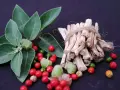 Plante d'ashwagandha avec ses baies rouges et vertes, et des racines séchées. L'ashwagandha bienfaits homme pour la vitalité.