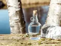 Bouteille de sève de bouleau claire, bouchée, posée sur du bois vieilli, entourée de chatons. Attention, le danger sève de bouleau est réel si mal récoltée.