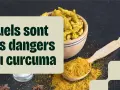 Curcuma en poudre et racines dans un bol, avec une cuillère. Le texte interroge sur les dangers du curcuma.