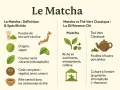 Infographie sur le matcha : poudre fine, origine Japon, couleur verte vibrante, goût complexe. Ses thé bienfaits incluent antioxydants et L-théanine.