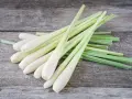 Un bouquet de tiges de citronnelle sur fond de bois vieilli. Découvrez les citronnelle bienfaits pour la santé et la cuisine.