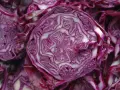 Coupe transversale d'un chou rouge, révélant ses couches violettes et blanches. Un légume aux multiples chou rouge bienfaits pour la santé.