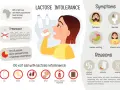 Infographie sur l'intolérance au lactose, ses symptômes (ballonnements, diarrhée, nausées, maux d'estomac), ses causes (infections, antibiotiques, hérédité) et les aliments à éviter.