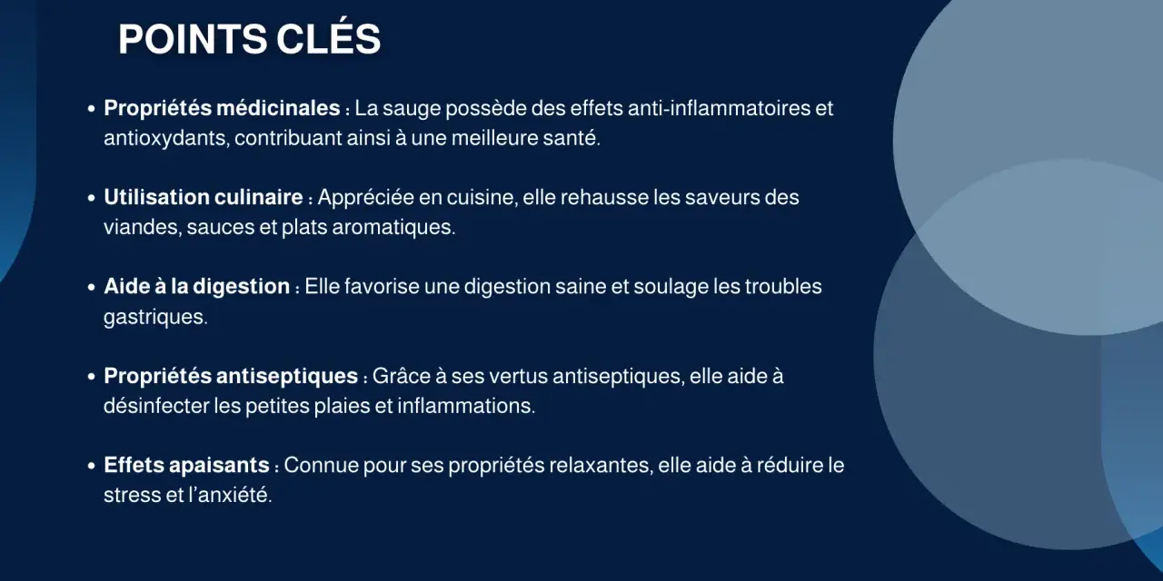 Points clés sur les sauge bienfaits : médicinales, culinaires, digestives, antiseptiques et apaisantes.