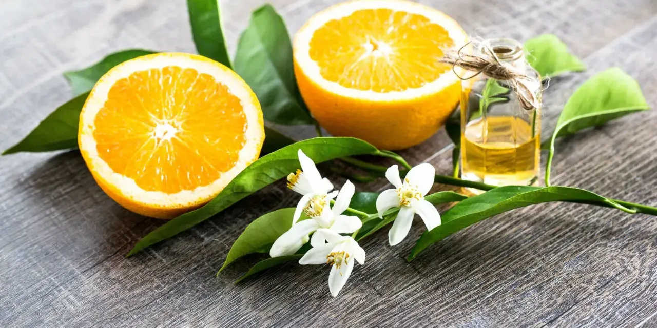 Oranges, leaves, and delicate fleur d'oranger blossoms surround a small bottle of essential oil, evoking the scent of citrus groves.