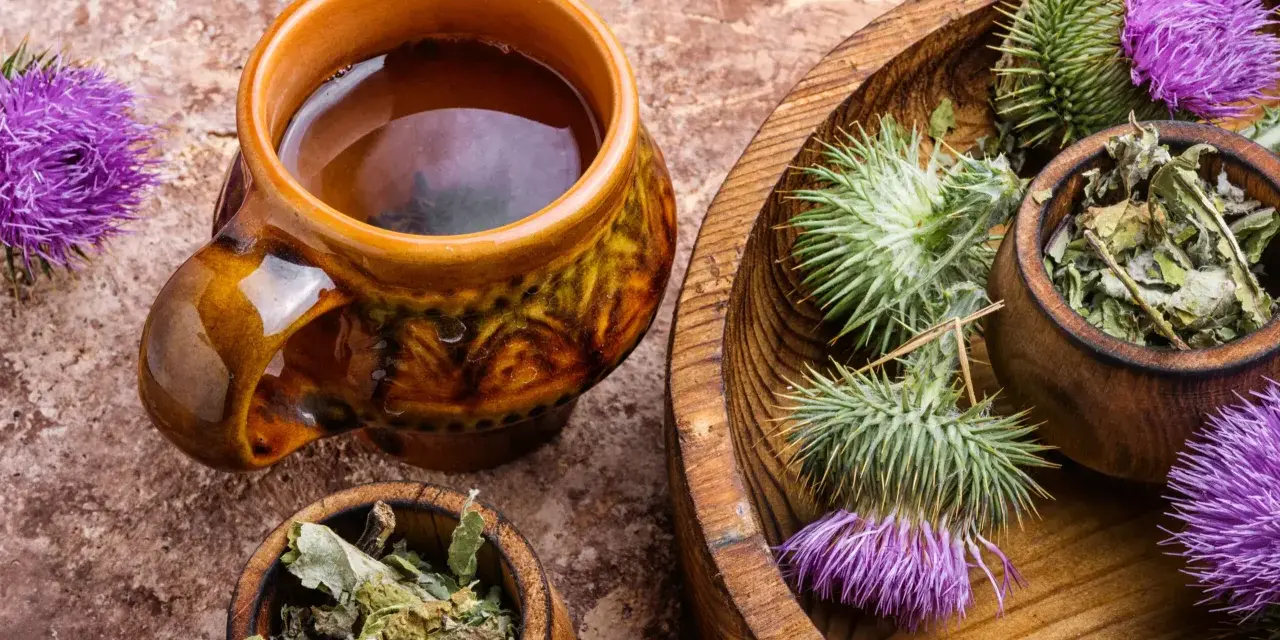 Une tasse de tisane chardon marie fumante, entourée de fleurs et de feuilles séchées de la plante.