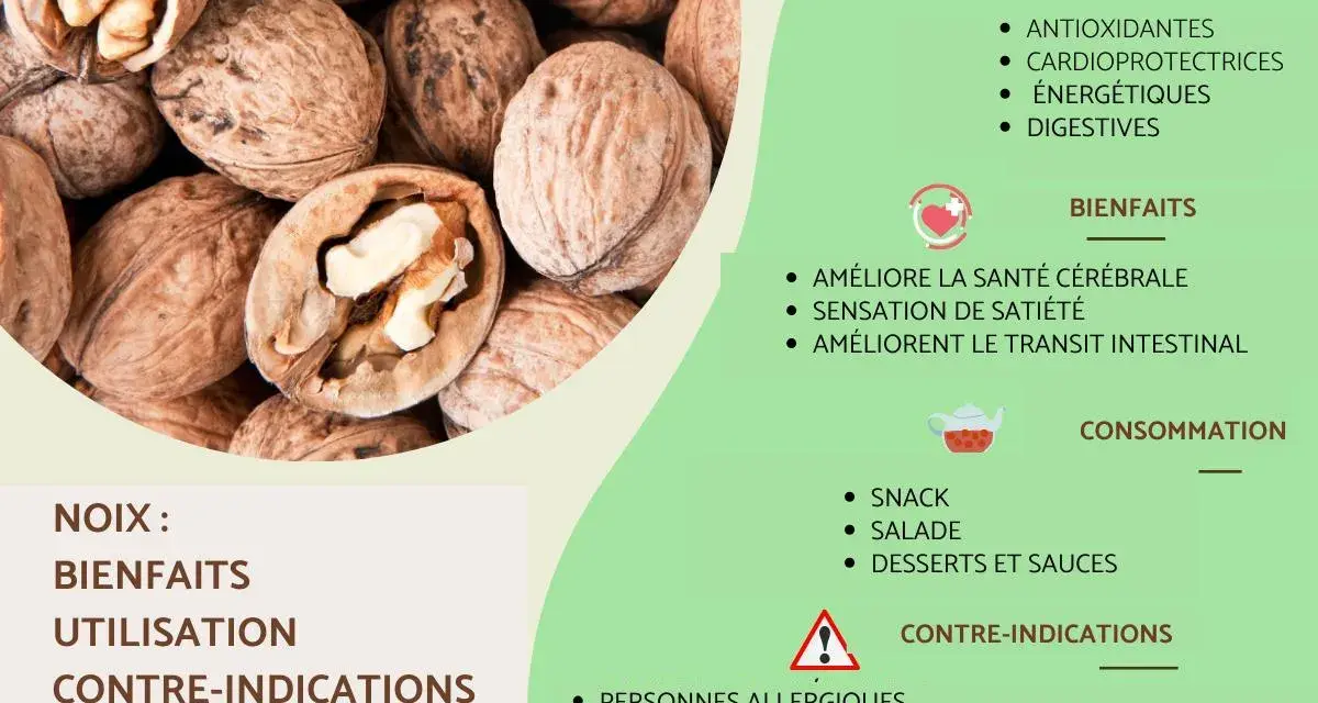Gros plan sur des noix, mettant en avant leurs nombreux bienfaits : antioxydantes, cardioprotectrices, énergétiques et digestives. Elles améliorent la santé cérébrale et le transit intestinal.