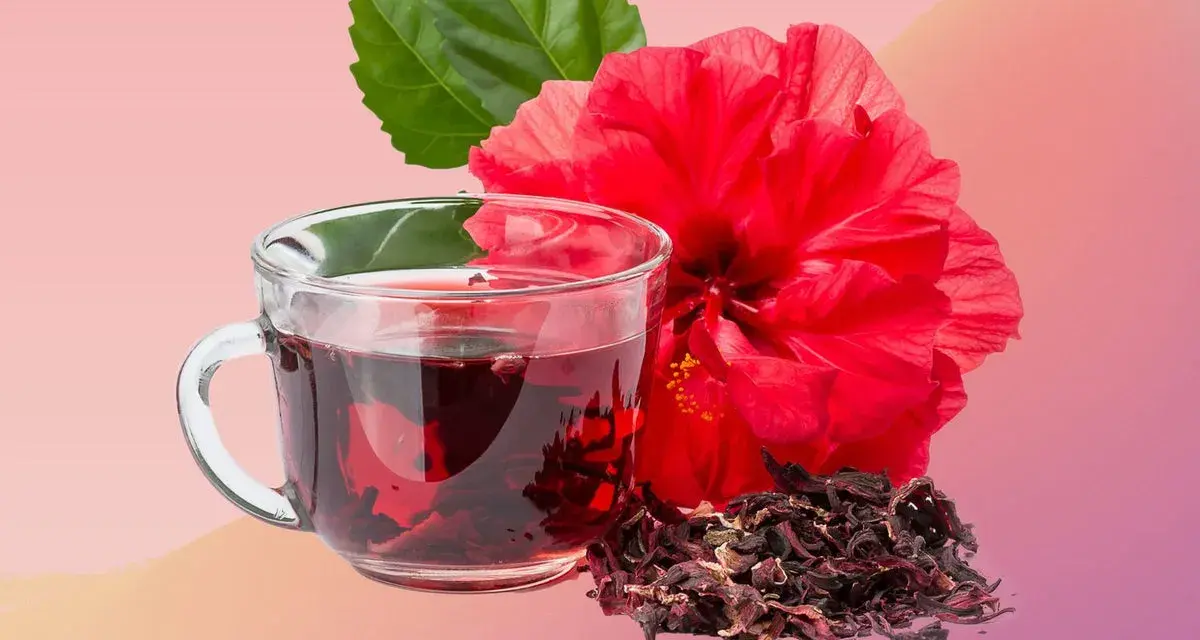 Infusion rouge vif d'hibiscus, fleur éclatante et feuilles vertes. Découvrez les hibiscus bienfaits femme pour une vitalité naturelle.