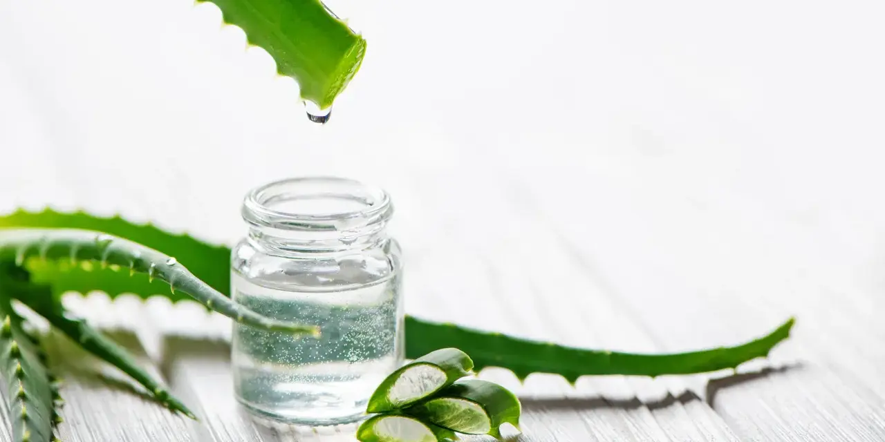 Goutte de gel d'aloe vera tombant dans un petit flacon, entouré de feuilles d'aloe vera coupées.