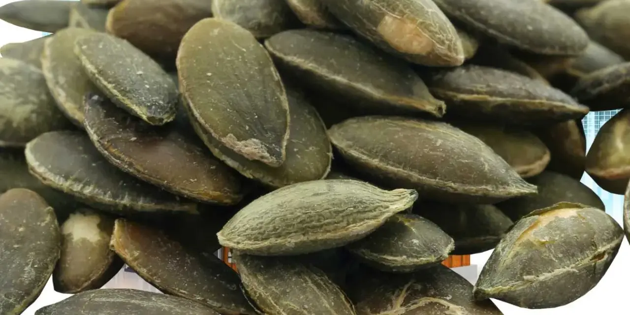 Grosse quantité de graines de courge, vertes et texturées, empilées en gros plan.