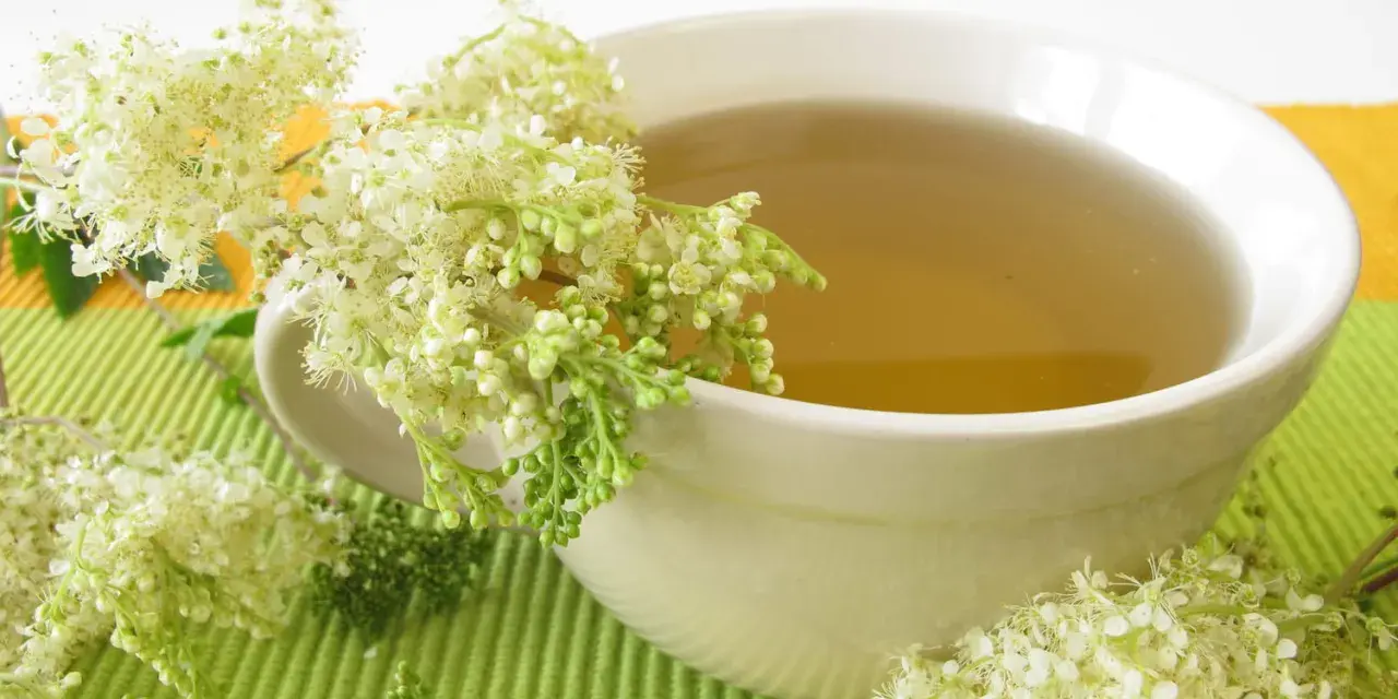 Une tasse de tisane à la reine des prés, ornée de ses délicates fleurs blanches.
