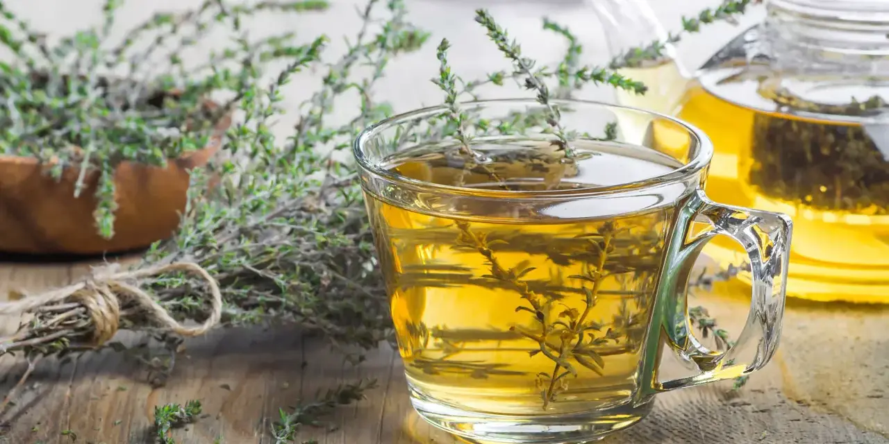 Une tasse de tisane thym digestion, avec du thym frais à côté et une théière en arrière-plan.