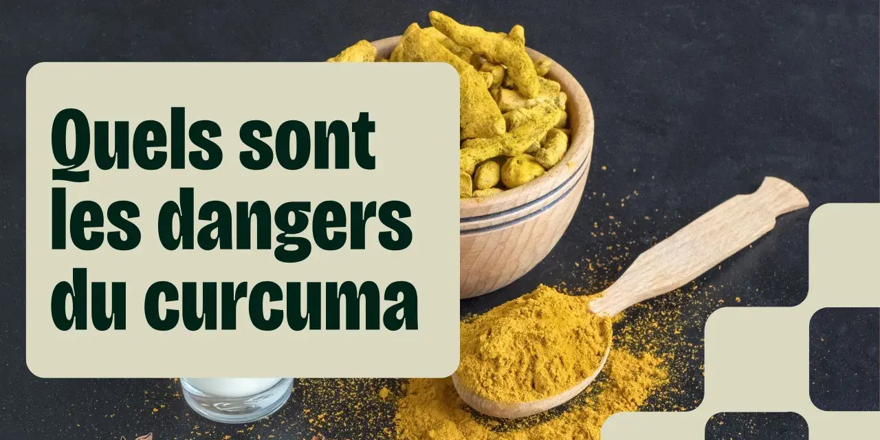 Curcuma en poudre et racines dans un bol, avec une cuillère. Le texte interroge sur les dangers du curcuma.