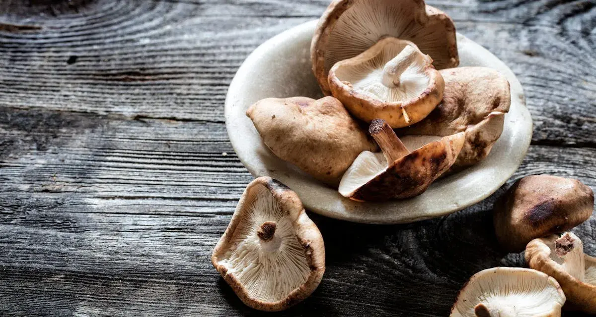Champignons shiitake dans un bol en pierre, prêts à révéler leurs bienfaits.