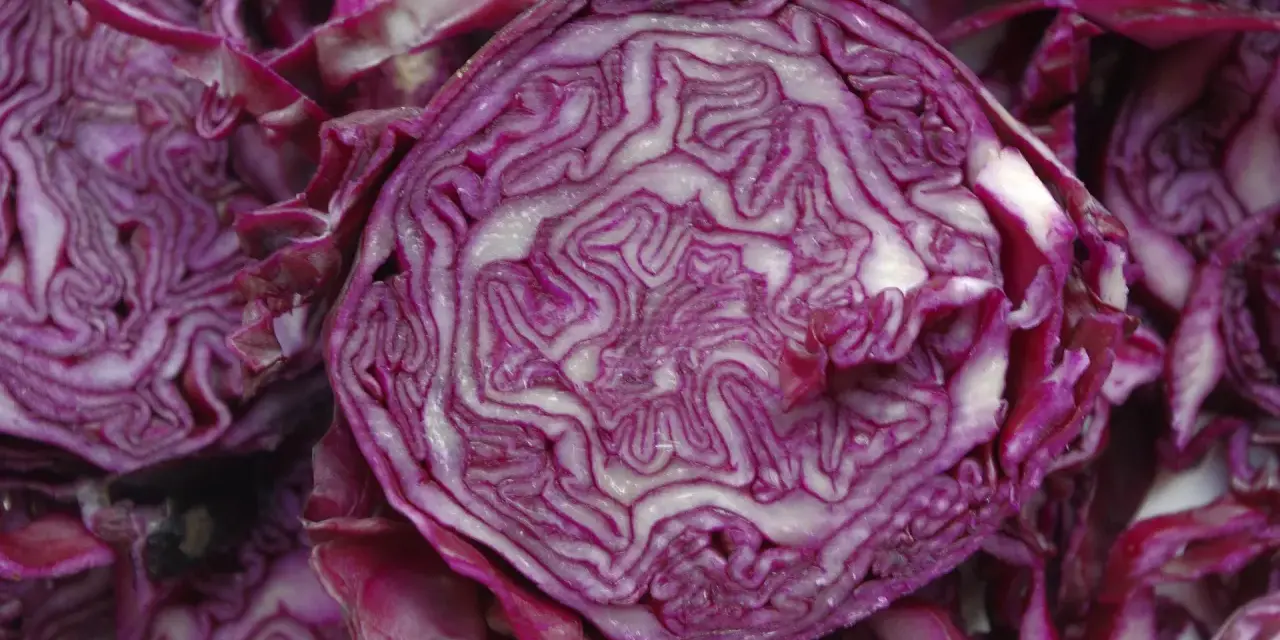 Coupe transversale d'un chou rouge, révélant ses couches violettes et blanches. Un légume aux multiples chou rouge bienfaits pour la santé.