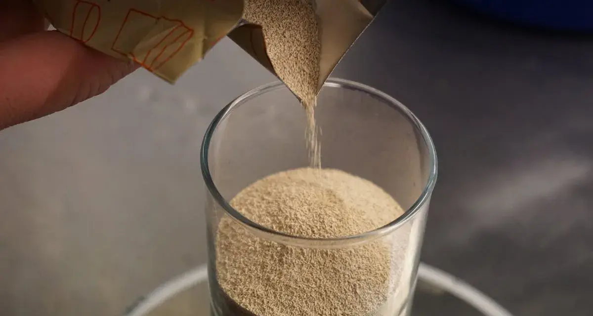 Une main verse de la levure de bière dans un verre. Découvrez les levure de bière bienfaits pour la santé.