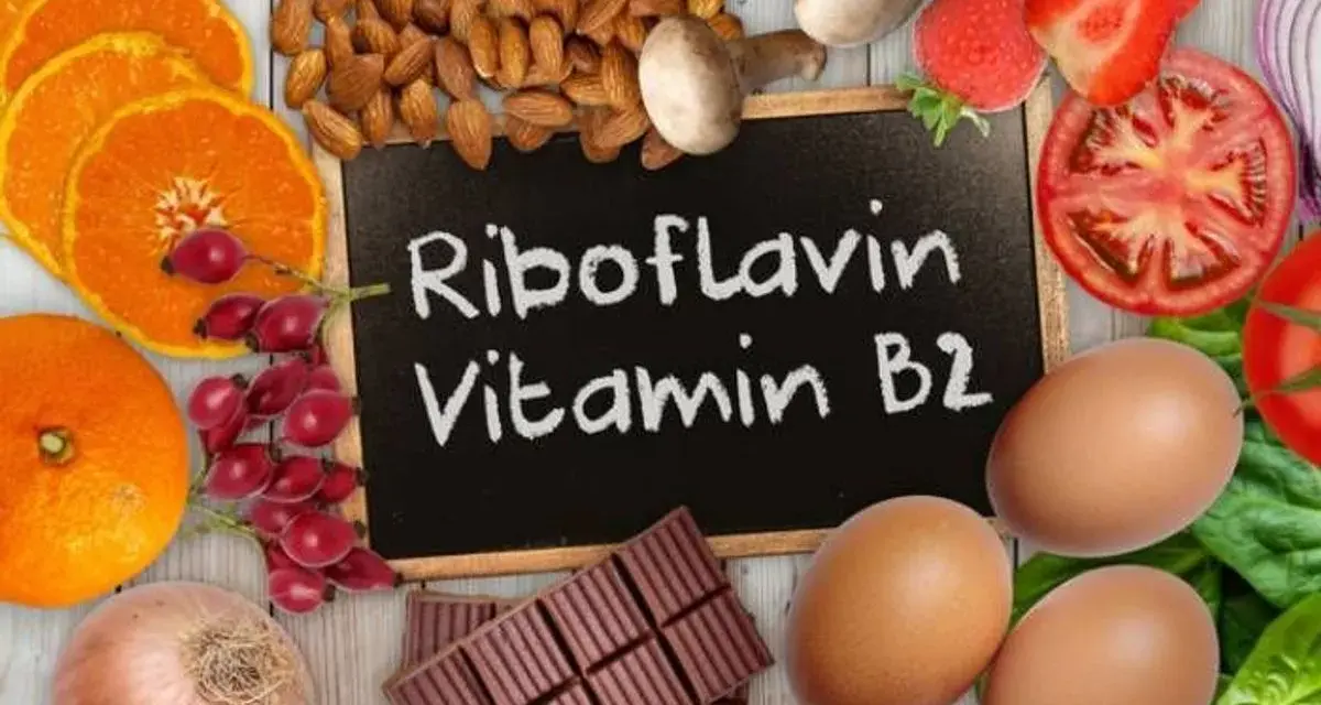Assiette colorée avec des aliments riches en vitamine B2 : oranges, amandes, fraises, tomates, œufs, chocolat. Découvrez les vitamine b2 bienfaits !