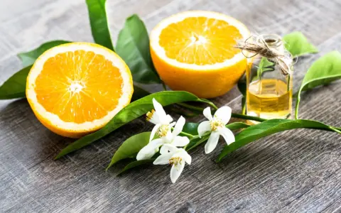 Oranges, leaves, and delicate fleur d'oranger blossoms surround a small bottle of essential oil, evoking the scent of citrus groves.