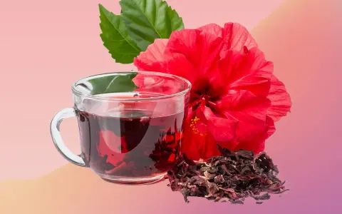 Infusion rouge vif d'hibiscus, fleur éclatante et feuilles vertes. Découvrez les hibiscus bienfaits femme pour une vitalité naturelle.