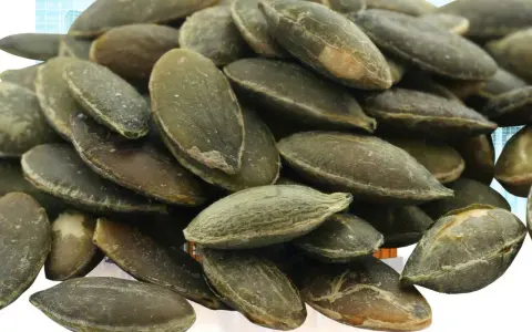 Grosse quantité de graines de courge, vertes et texturées, empilées en gros plan.