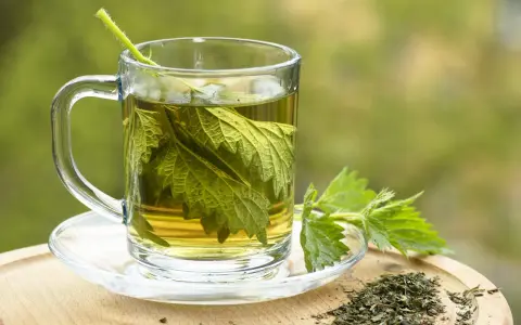 Une tasse de tisane d'ortie, avec des feuilles fraîches et séchées. Peut-on boire de la tisane d'ortie le soir pour une détente naturelle ?