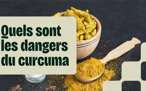 Curcuma en poudre et racines dans un bol, avec une cuillère. Le texte interroge sur les dangers du curcuma.