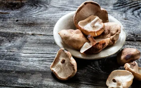 Champignons shiitake dans un bol en pierre, prêts à révéler leurs bienfaits.