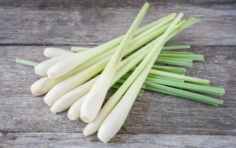 Un bouquet de tiges de citronnelle sur fond de bois vieilli. Découvrez les citronnelle bienfaits pour la santé et la cuisine.