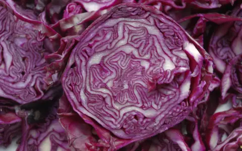 Coupe transversale d'un chou rouge, révélant ses couches violettes et blanches. Un légume aux multiples chou rouge bienfaits pour la santé.