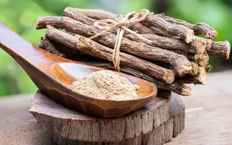 Racines de réglisse séchées et poudre de réglisse dans une cuillère en bois, évoquant les nombreux bienfaits de la réglisse.