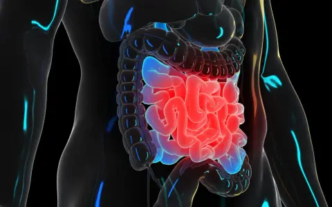 Illustration 3D du système digestif humain, montrant le transit intestinal. Les intestins sont illuminés en rouge et bleu.