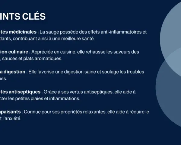 Points clés sur les sauge bienfaits : médicinales, culinaires, digestives, antiseptiques et apaisantes.