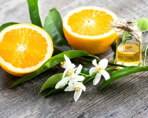 Oranges, leaves, and delicate fleur d'oranger blossoms surround a small bottle of essential oil, evoking the scent of citrus groves.