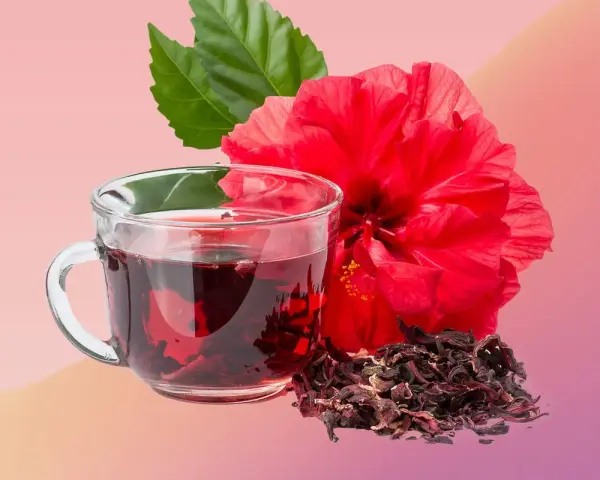 Infusion rouge vif d'hibiscus, fleur éclatante et feuilles vertes. Découvrez les hibiscus bienfaits femme pour une vitalité naturelle.