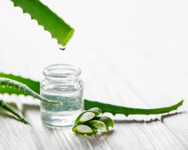 Goutte de gel d'aloe vera tombant dans un petit flacon, entouré de feuilles d'aloe vera coupées.
