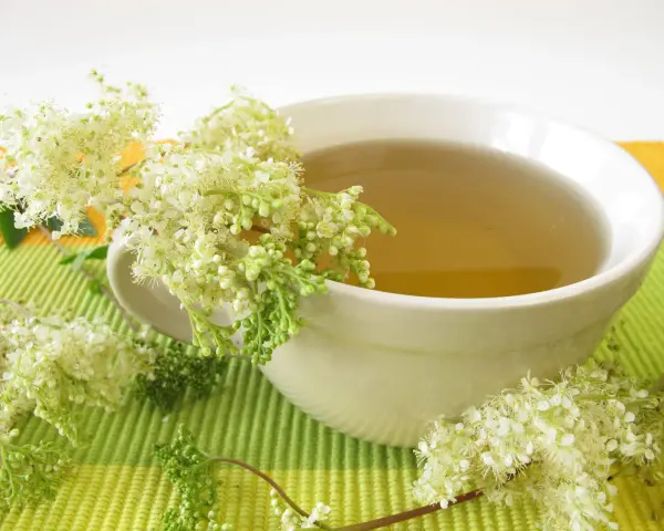 Une tasse de tisane à la reine des prés, ornée de ses délicates fleurs blanches.