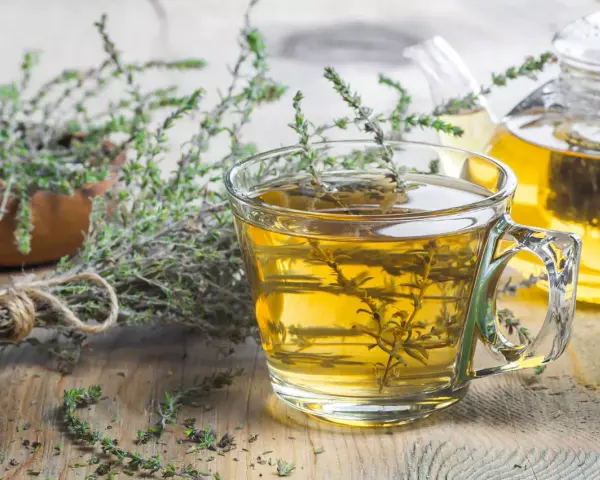 Une tasse de tisane thym digestion, avec du thym frais à côté et une théière en arrière-plan.