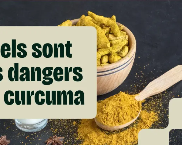 Curcuma en poudre et racines dans un bol, avec une cuillère. Le texte interroge sur les dangers du curcuma.