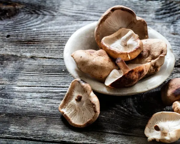 Champignons shiitake dans un bol en pierre, prêts à révéler leurs bienfaits.