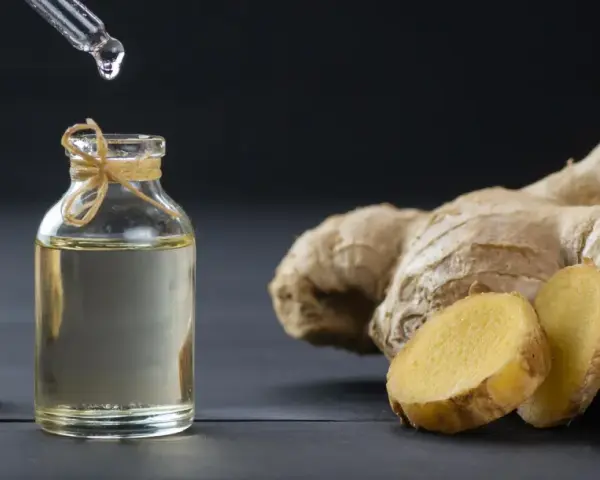Goutte d'huile essentielle de gingembre aphrodisiaque tombant dans un flacon, à côté de racines de gingembre fraîches.