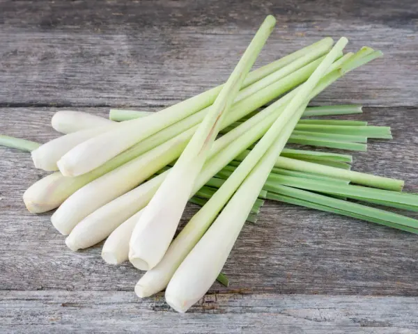 Un bouquet de tiges de citronnelle sur fond de bois vieilli. Découvrez les citronnelle bienfaits pour la santé et la cuisine.