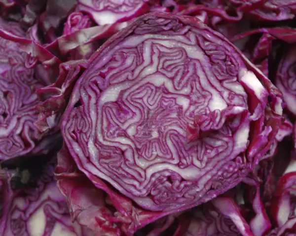Coupe transversale d'un chou rouge, révélant ses couches violettes et blanches. Un légume aux multiples chou rouge bienfaits pour la santé.