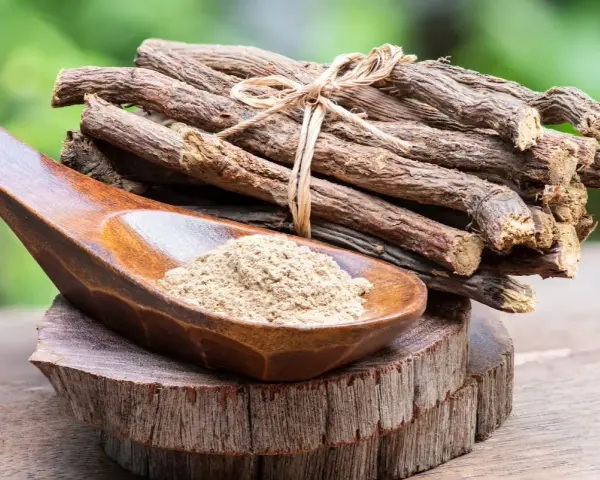 Racines de réglisse séchées et poudre de réglisse dans une cuillère en bois, évoquant les nombreux bienfaits de la réglisse.
