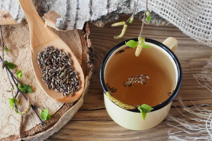 Infusion de bourgeons de bouleau, un remède naturel pour un vermifuge humain naturel.
