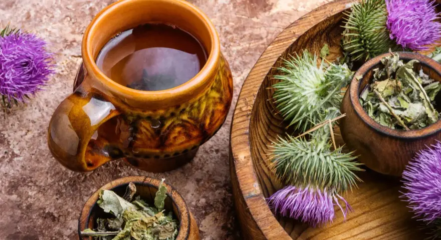 Une tasse de tisane chardon marie fumante, entourée de fleurs et de feuilles séchées de la plante.